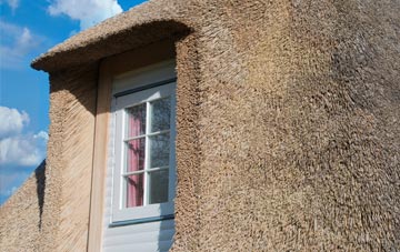 Penstone thatch roof disadvantages